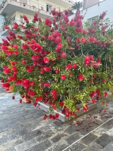 Nora House Apartment Savona Italy